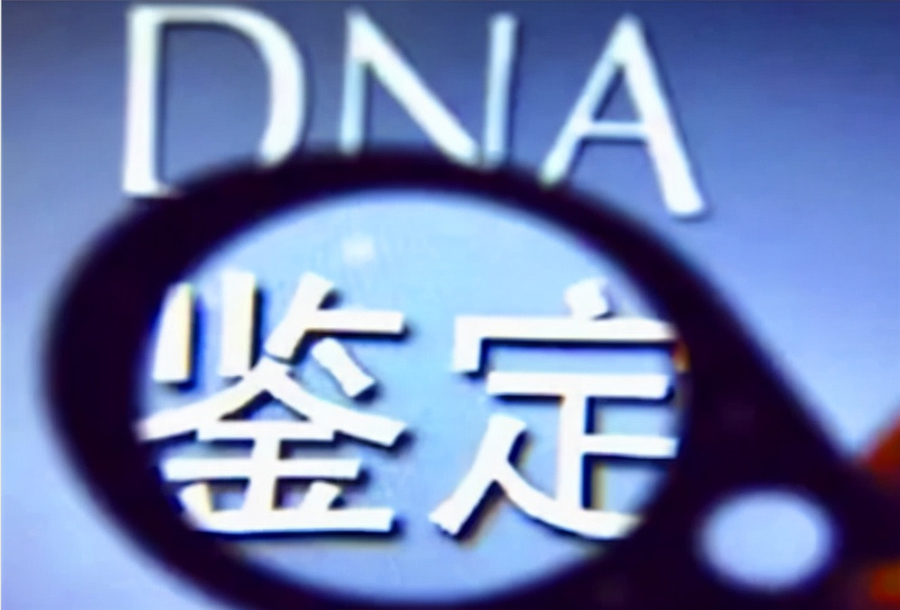 锦州办理个人DNA亲子鉴定多长时间能出结果,锦州个人亲子鉴定办理流程