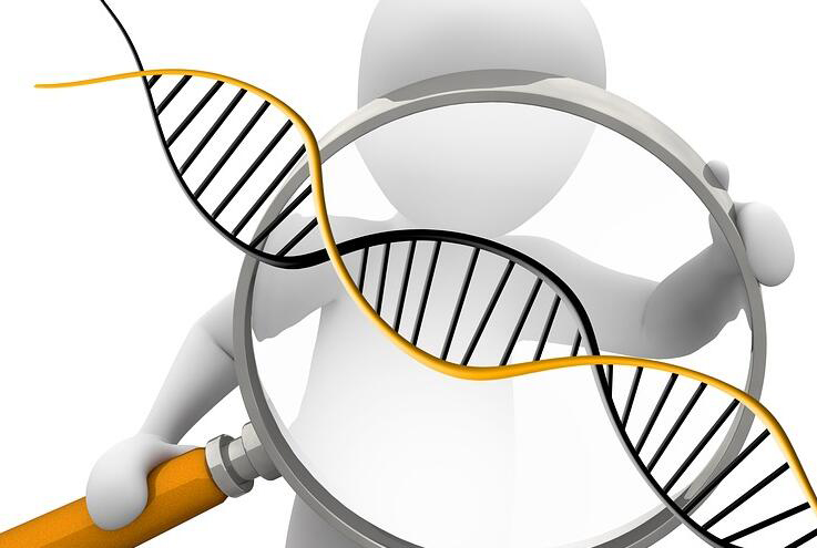 锦州落户DNA鉴定需要怎么做呢,